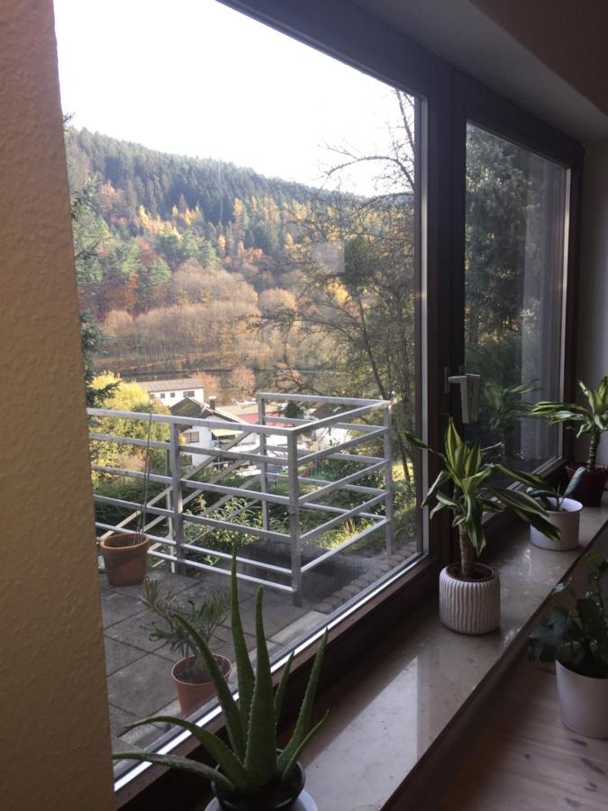 Ferienwohnung Luftkurort, Perle des Neckartals Hirschhorn Exterior foto