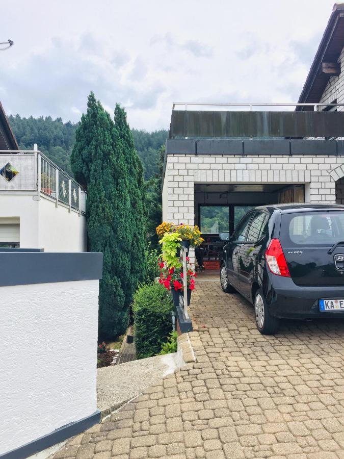 Ferienwohnung Luftkurort, Perle des Neckartals Hirschhorn Exterior foto