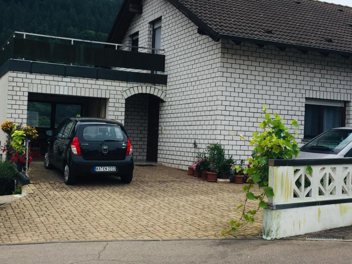 Ferienwohnung Luftkurort, Perle des Neckartals Hirschhorn Exterior foto
