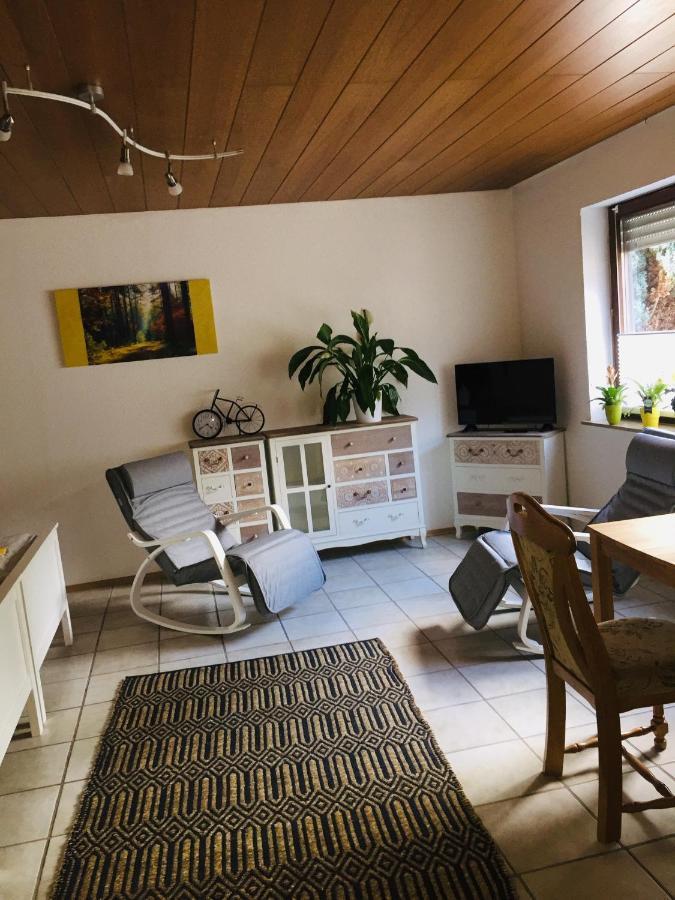 Ferienwohnung Luftkurort, Perle des Neckartals Hirschhorn Exterior foto