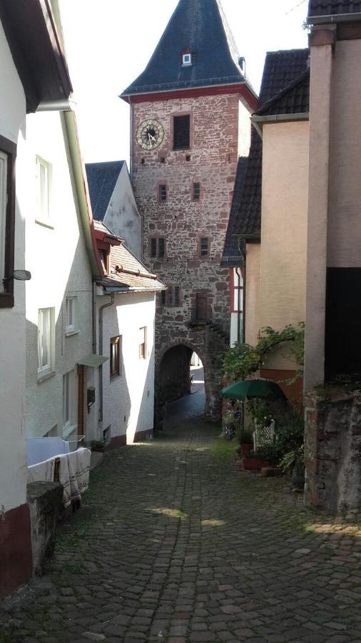 Ferienwohnung Luftkurort, Perle des Neckartals Hirschhorn Exterior foto