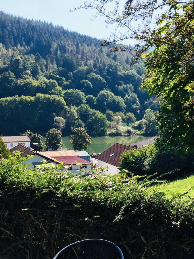 Ferienwohnung Luftkurort, Perle des Neckartals Hirschhorn Exterior foto