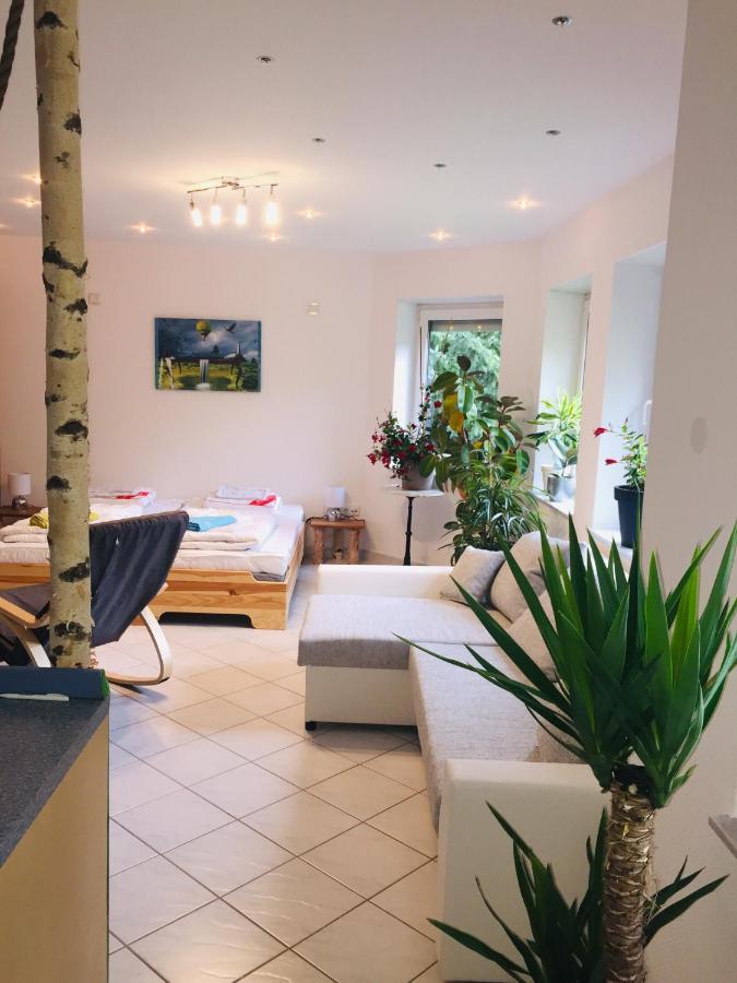 Ferienwohnung Luftkurort, Perle des Neckartals Hirschhorn Exterior foto