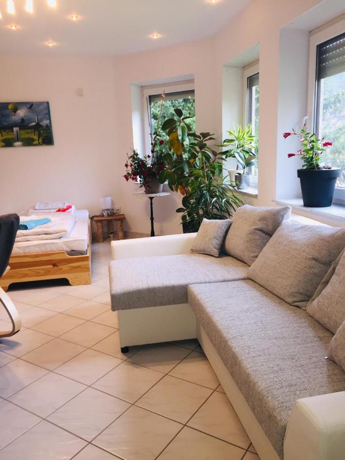 Ferienwohnung Luftkurort, Perle des Neckartals Hirschhorn Exterior foto