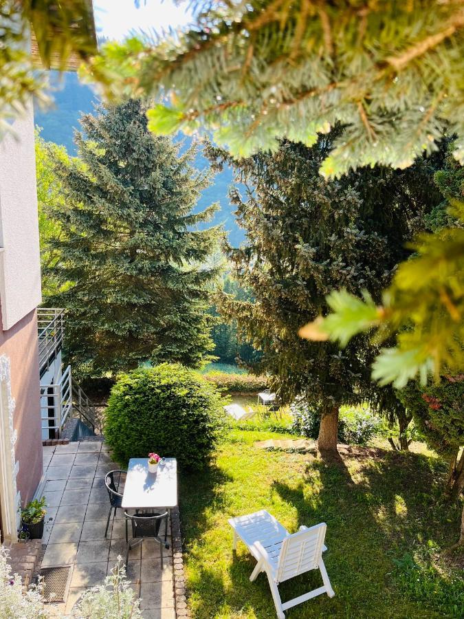 Ferienwohnung Luftkurort, Perle des Neckartals Hirschhorn Exterior foto